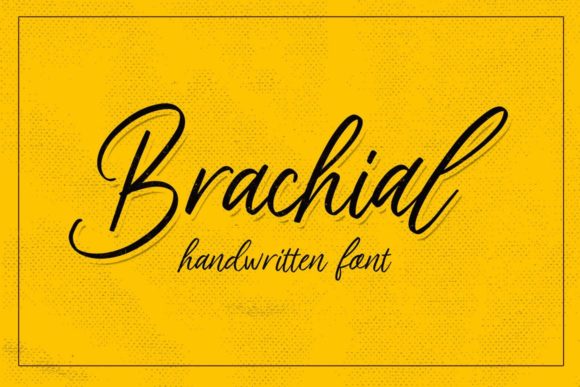 Brachial: A Flowing Script Font