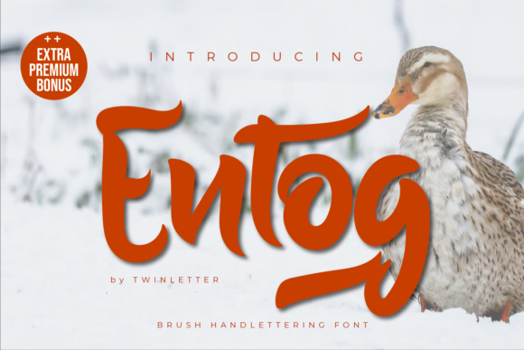 Entog: A Handwritten Font for Web Design