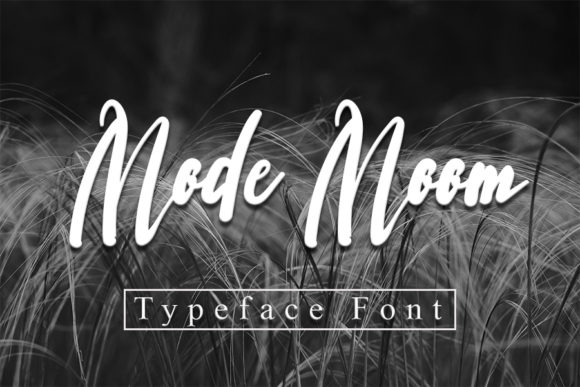 Mode Moon: A Flowing Font for Elegant Design