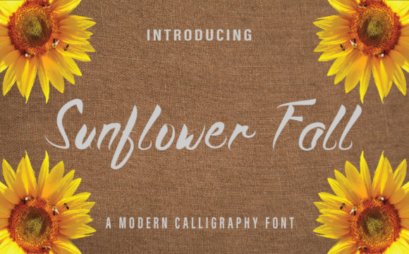 Upgrade Your Brand with Sunflower Fall
